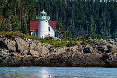 Maine's Little River Lighthouse